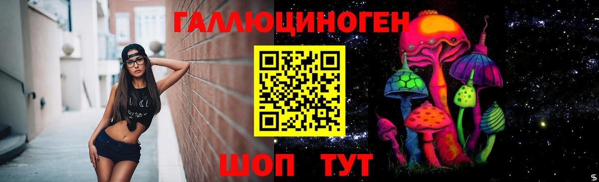 Гусев  Галлюциногенные грибы Psilocybe  Галлюциногенные грибы прущие грибы  Вход с VPN 